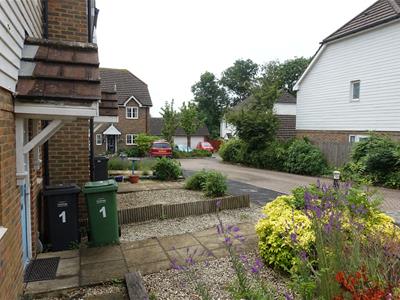 Picture 15